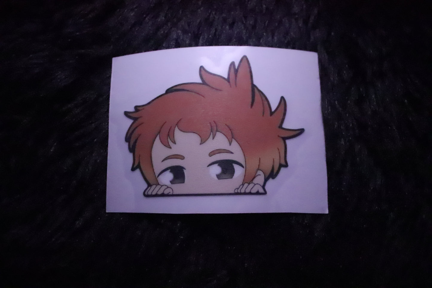 Studio Ghibli (Peekers)